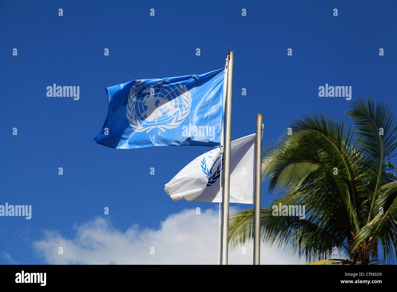 Bandiera delle Nazioni Unite volare al di fuori della sede delle Nazioni Unite a Panama Foto Stock
