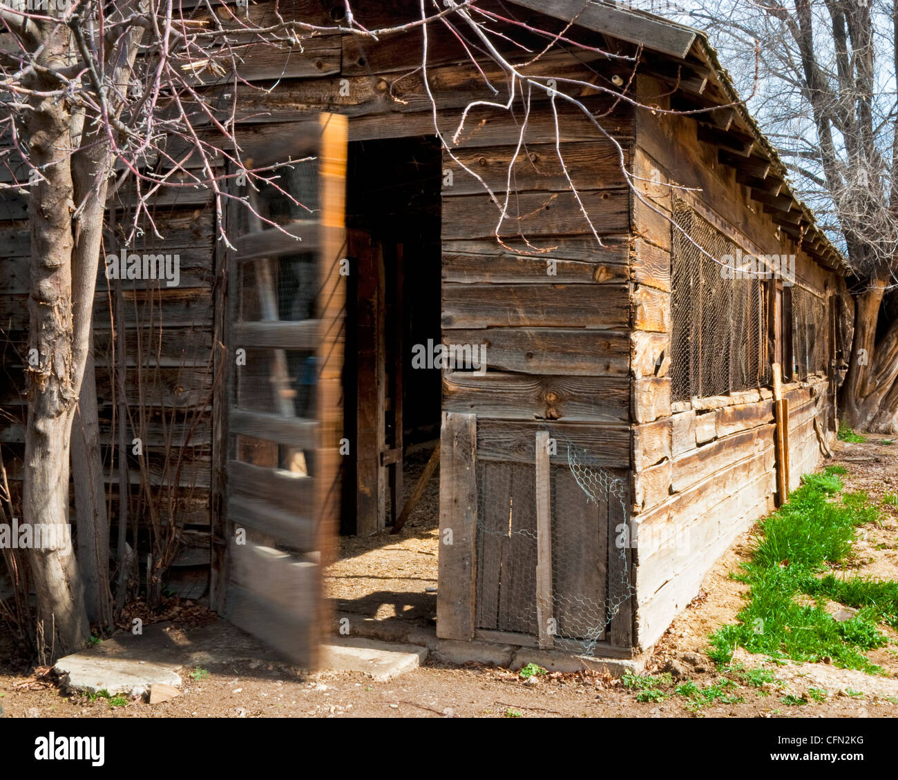 Un abbandonare farm house con il retro dello schermo di oscillazione della porta nel vento Foto Stock