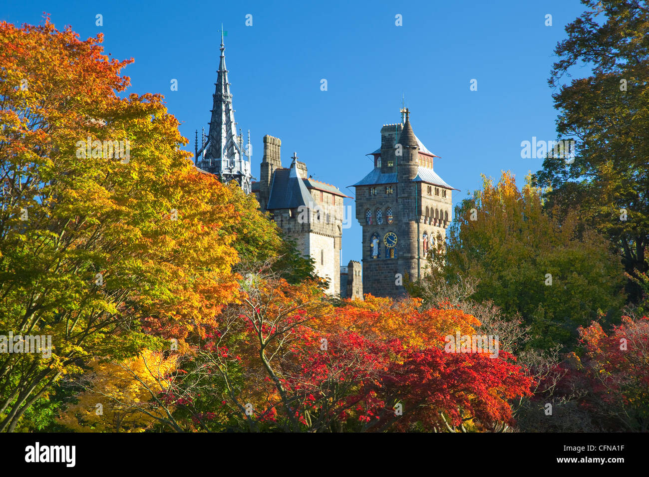 Il Castello di Cardiff, Bute Park South Wales, Wales, Regno Unito, Europa Foto Stock