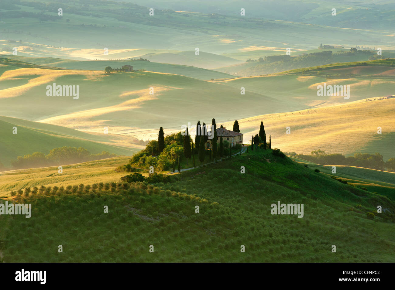 Il Belvedere, Val d'Orcia, Toscana, Italia, Europa a 4:30 am, come raggi di sole iniziano a luce il paesaggio, Villa italiana e alberi di ulivo. Foto Stock