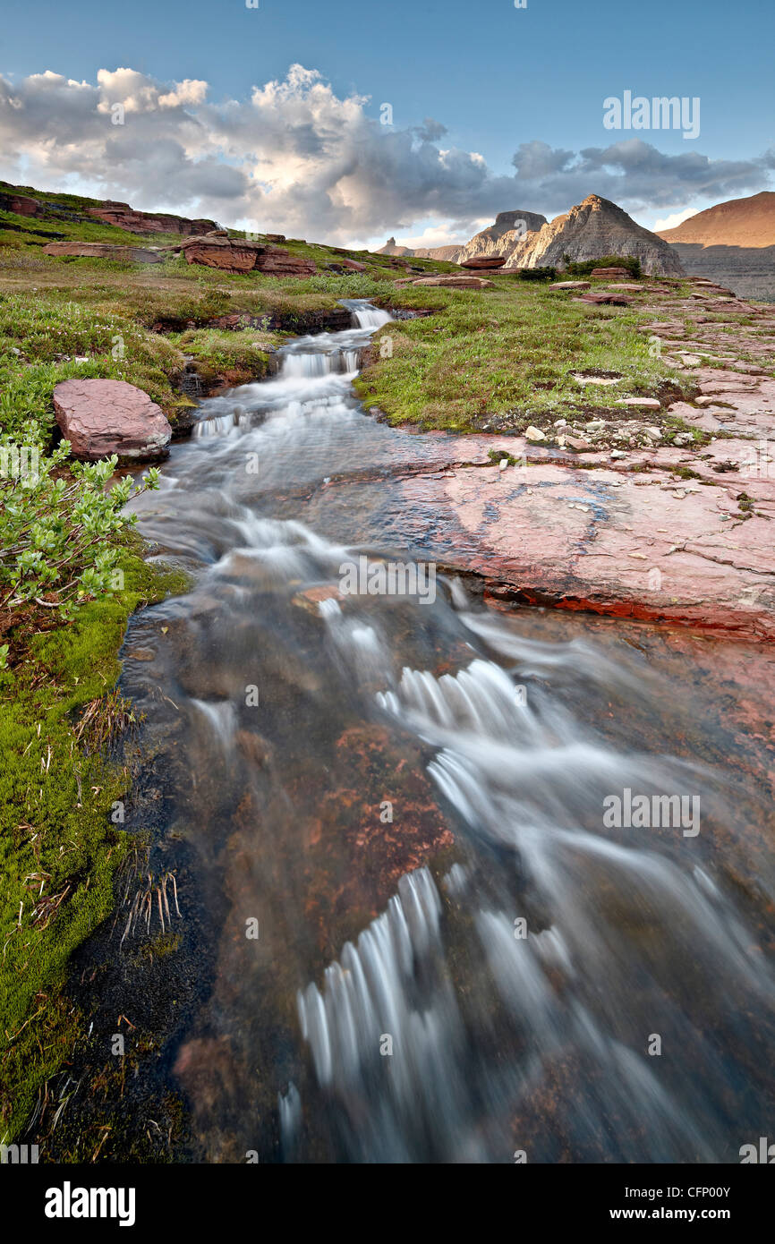 Flusso delle Alpi, il Parco Nazionale di Glacier, Montana, Stati Uniti d'America, America del Nord Foto Stock