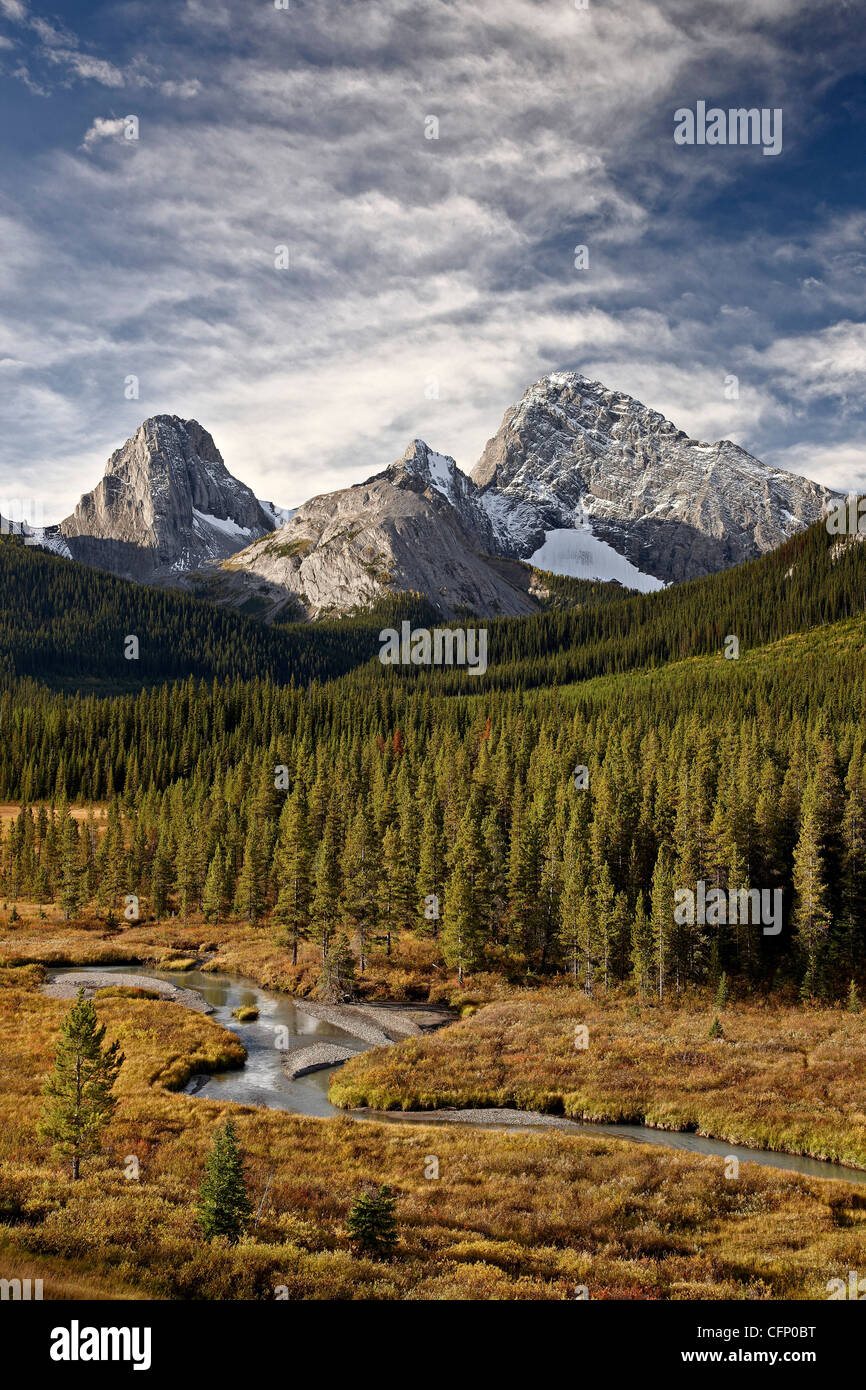 Smutts Creek, Alberta, montagne rocciose, Canada, America del Nord Foto Stock