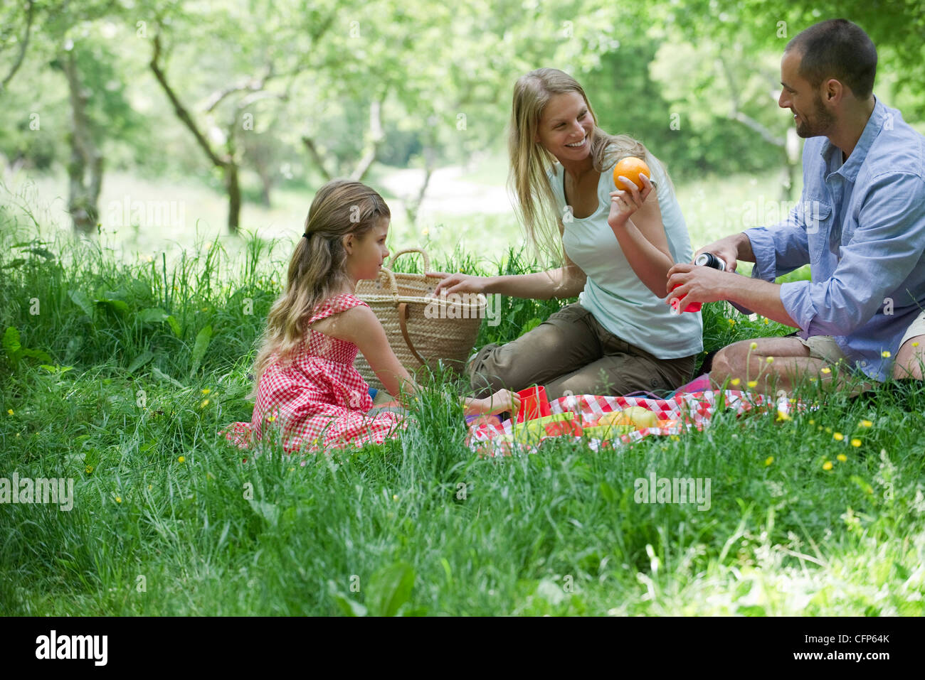 Famiglia avente picnic all'aperto Foto Stock