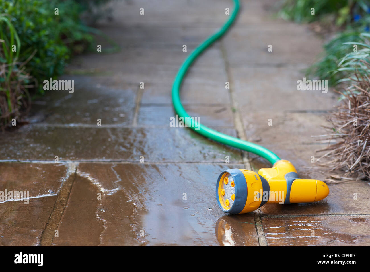 Giardino tubo flessibile su un percorso umido . Foto Stock