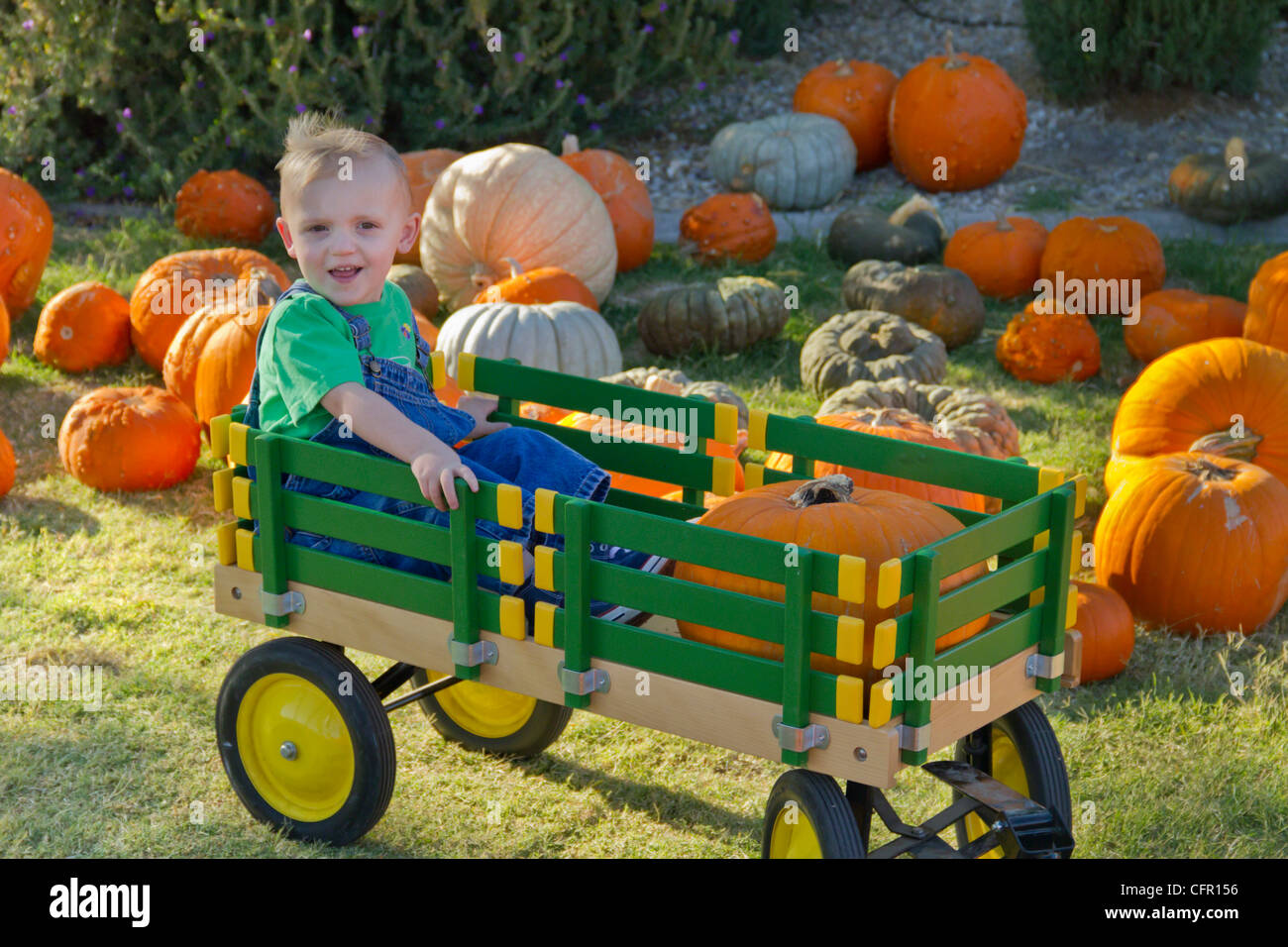 Divertimento di Halloween alla Zucca Patch Foto Stock