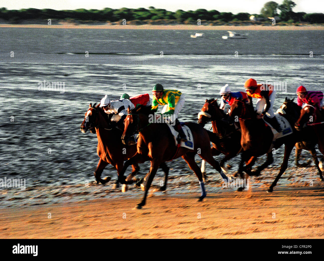 Carrera de caballos. Sanlúcar de Barrameda. Cádiz. Foto Stock