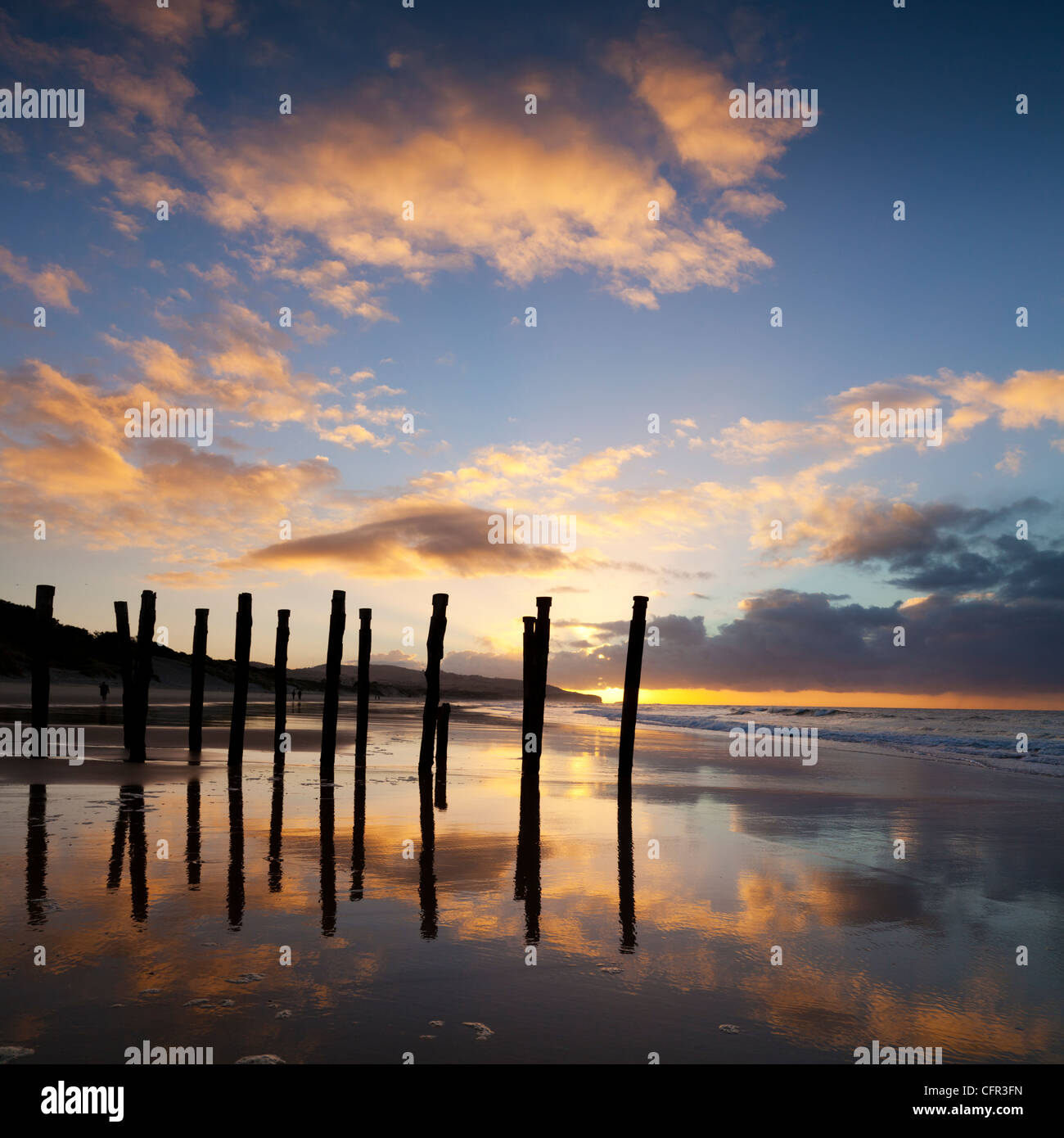 Sunrise a St Clair Beach, Dunedin, Otago, Nuova Zelanda. Foto Stock