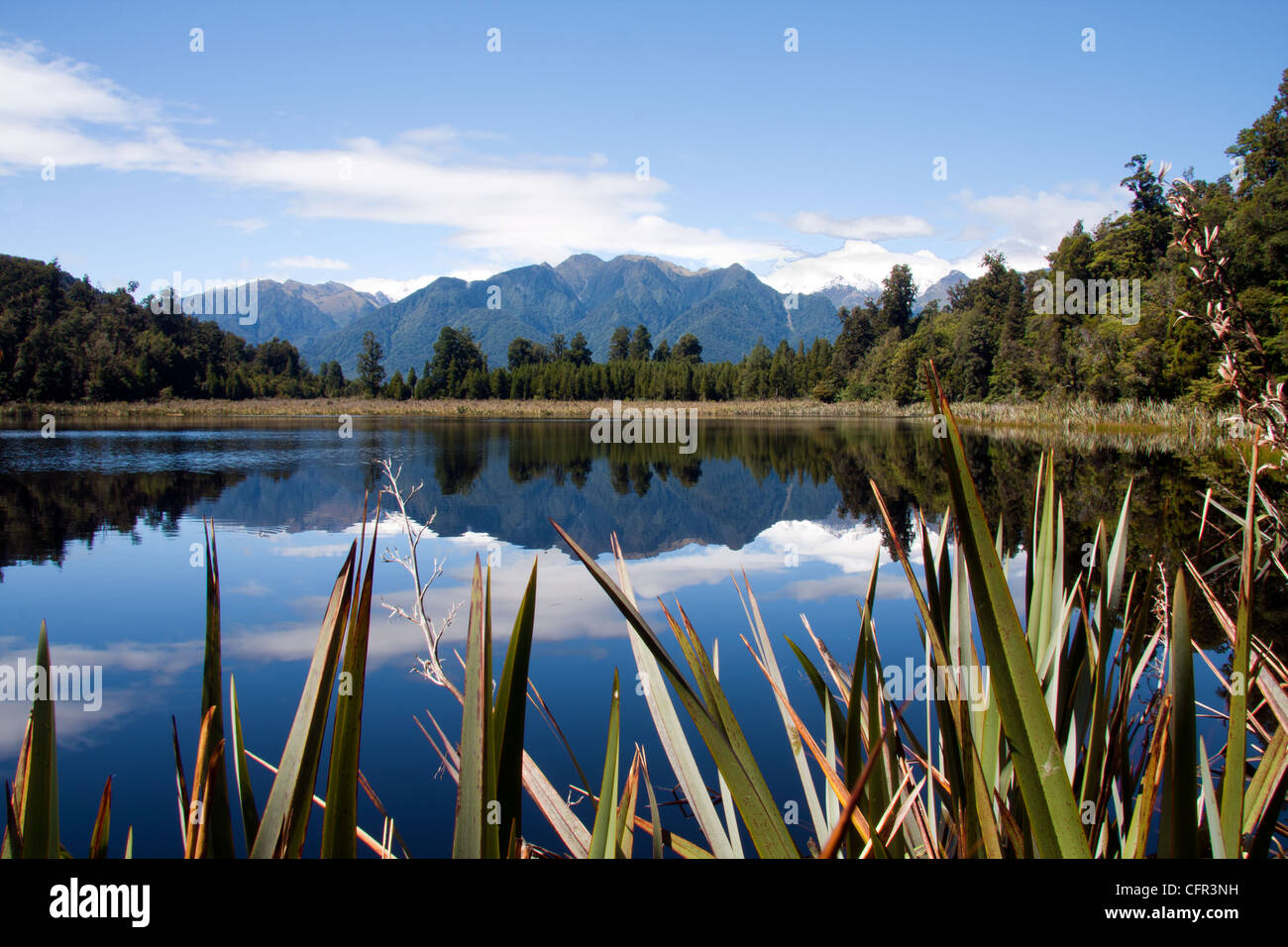 Riflessi nel lago matheson, Isola del Sud, Nuova Zelanda Foto Stock