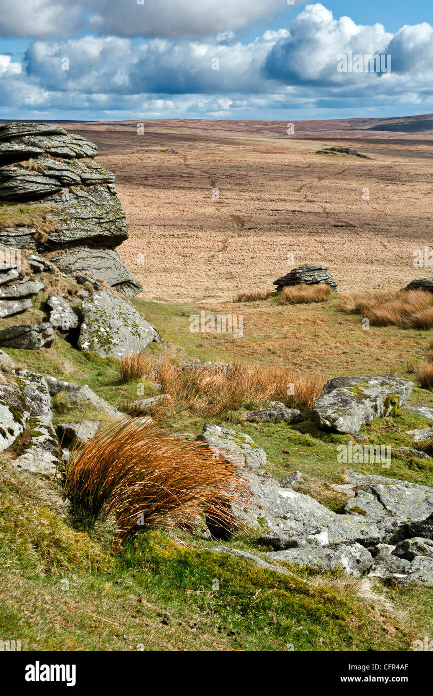 Dartmoor paesaggio mostrando grande Links Tor, maggiore Dunna acido di capra erba e viste Foto Stock