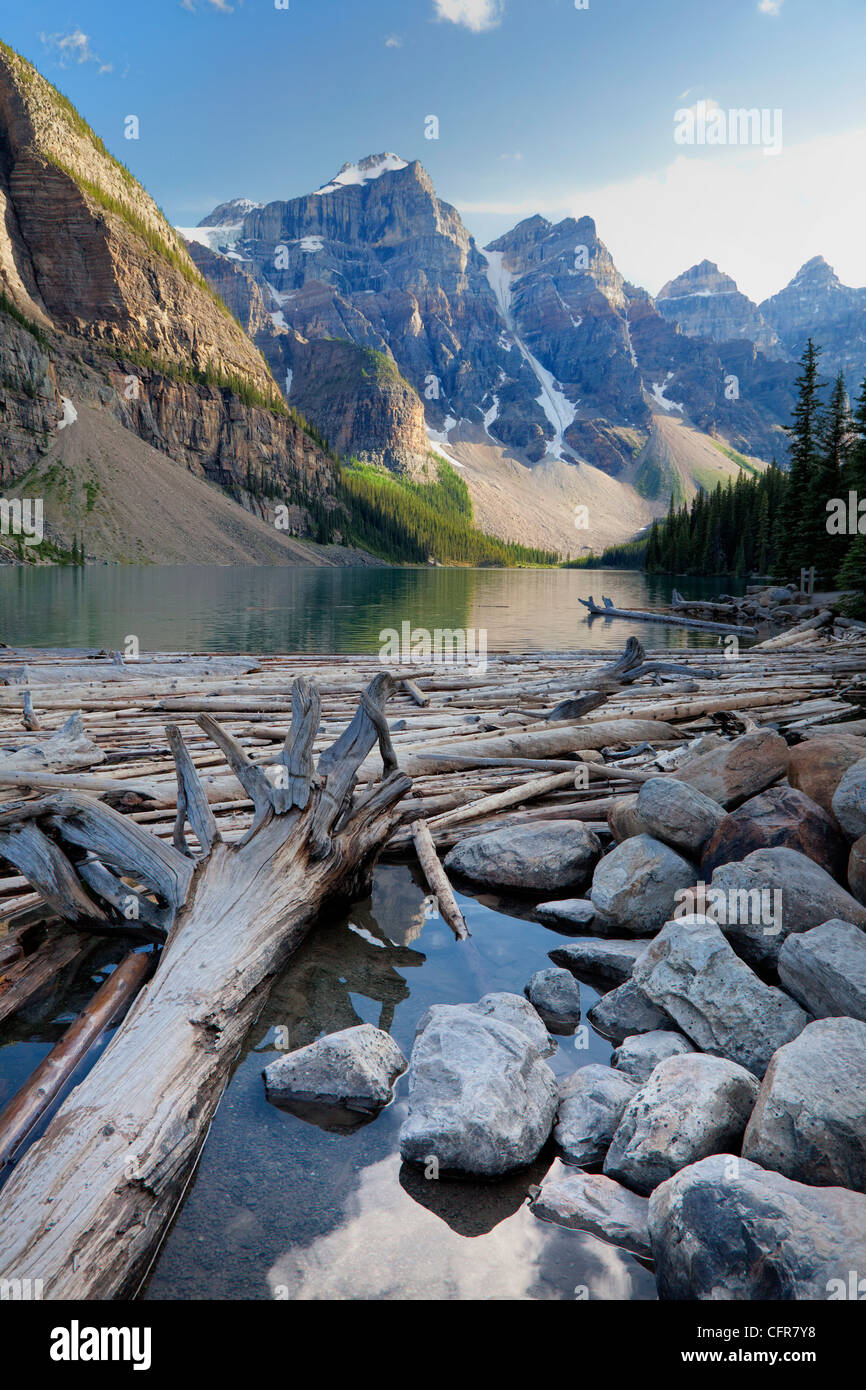 Log Jam sul Lago Moraine, il Parco Nazionale di Banff, Sito Patrimonio Mondiale dell'UNESCO, Alberta, montagne rocciose, Canada, America del Nord Foto Stock