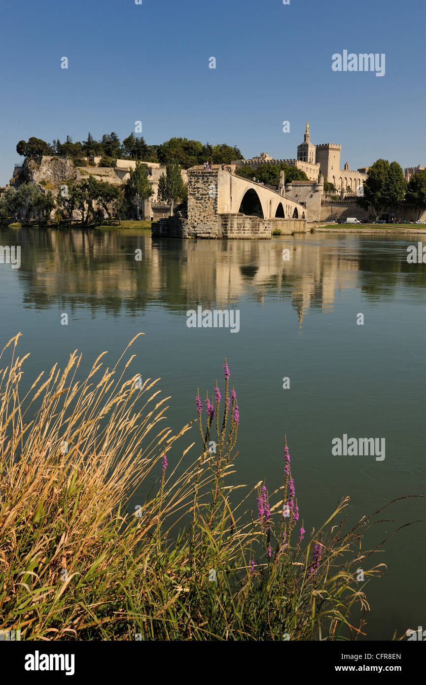 Pont Saint-Benezet e Avignone città visto attraverso il fiume Rodano, Avignone, Provence, Francia Foto Stock