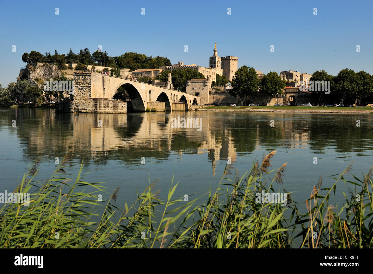 Pont Saint-Benezet e Avignone città visto attraverso il fiume Rodano, Avignone, Provence, Francia Foto Stock