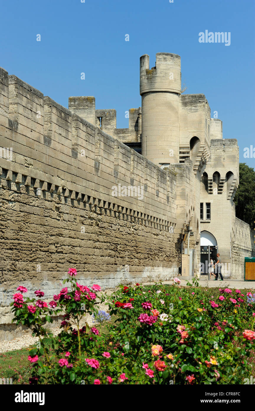Porte de la Republique, cinta di mura e bastioni, Avignone, Provence, Francia Foto Stock