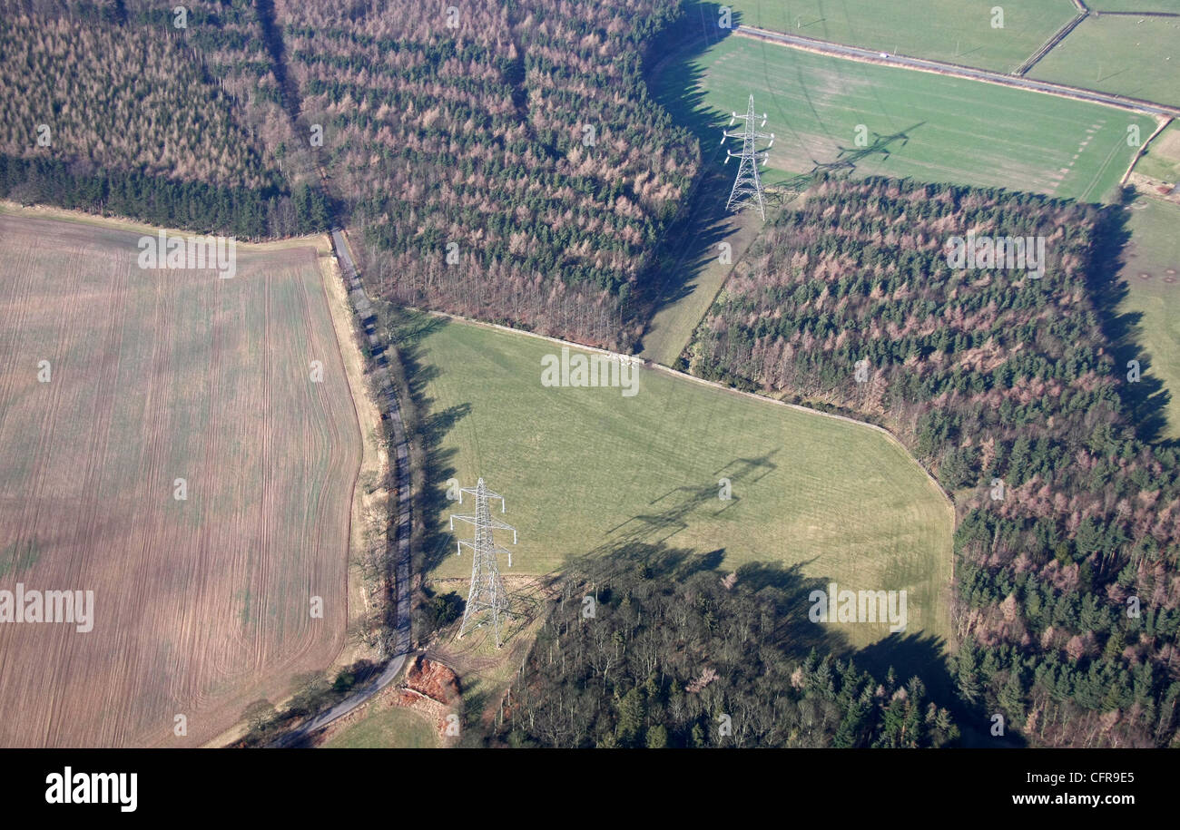Vista aerea di elettricità tralicci attraversando la terra attraverso gli alberi Foto Stock