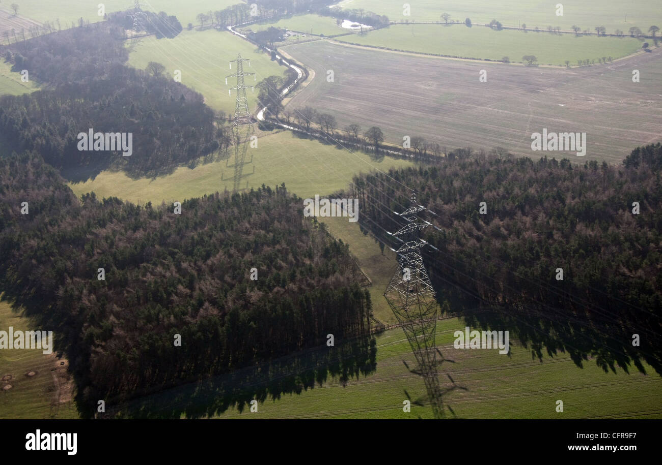 Vista aerea di elettricità tralicci attraversando la terra attraverso gli alberi Foto Stock