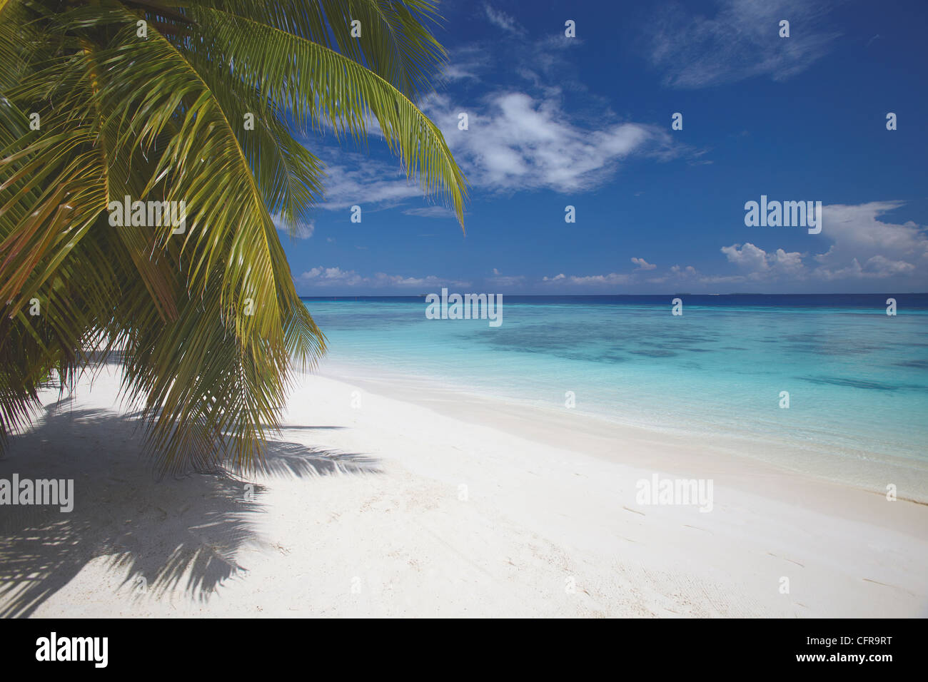 Spiaggia vuota per un'isola tropicale, Maldive, Oceano Indiano, Asia Foto Stock