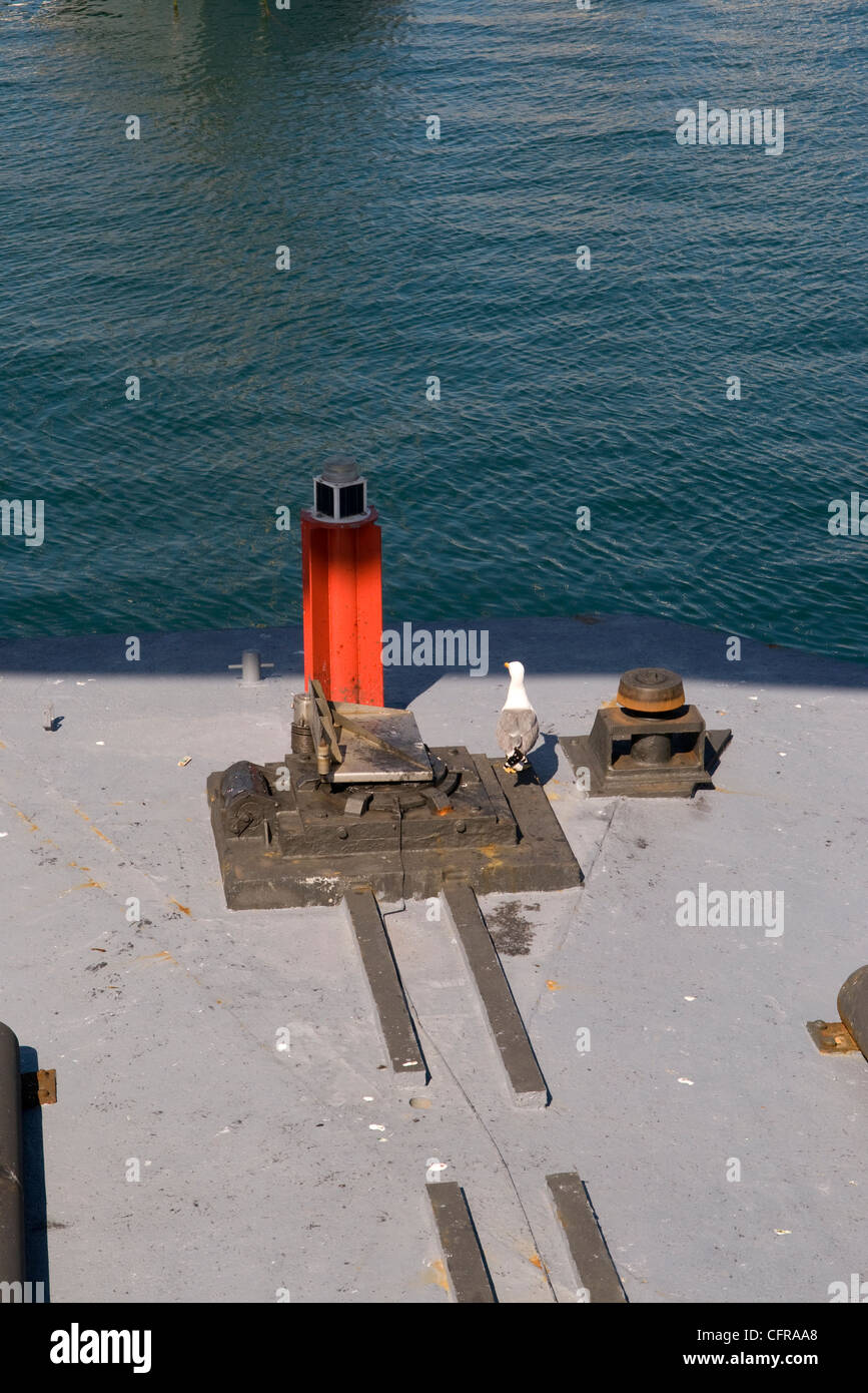Seagull guardando fuori in mare nel porto di Barcellona Foto Stock