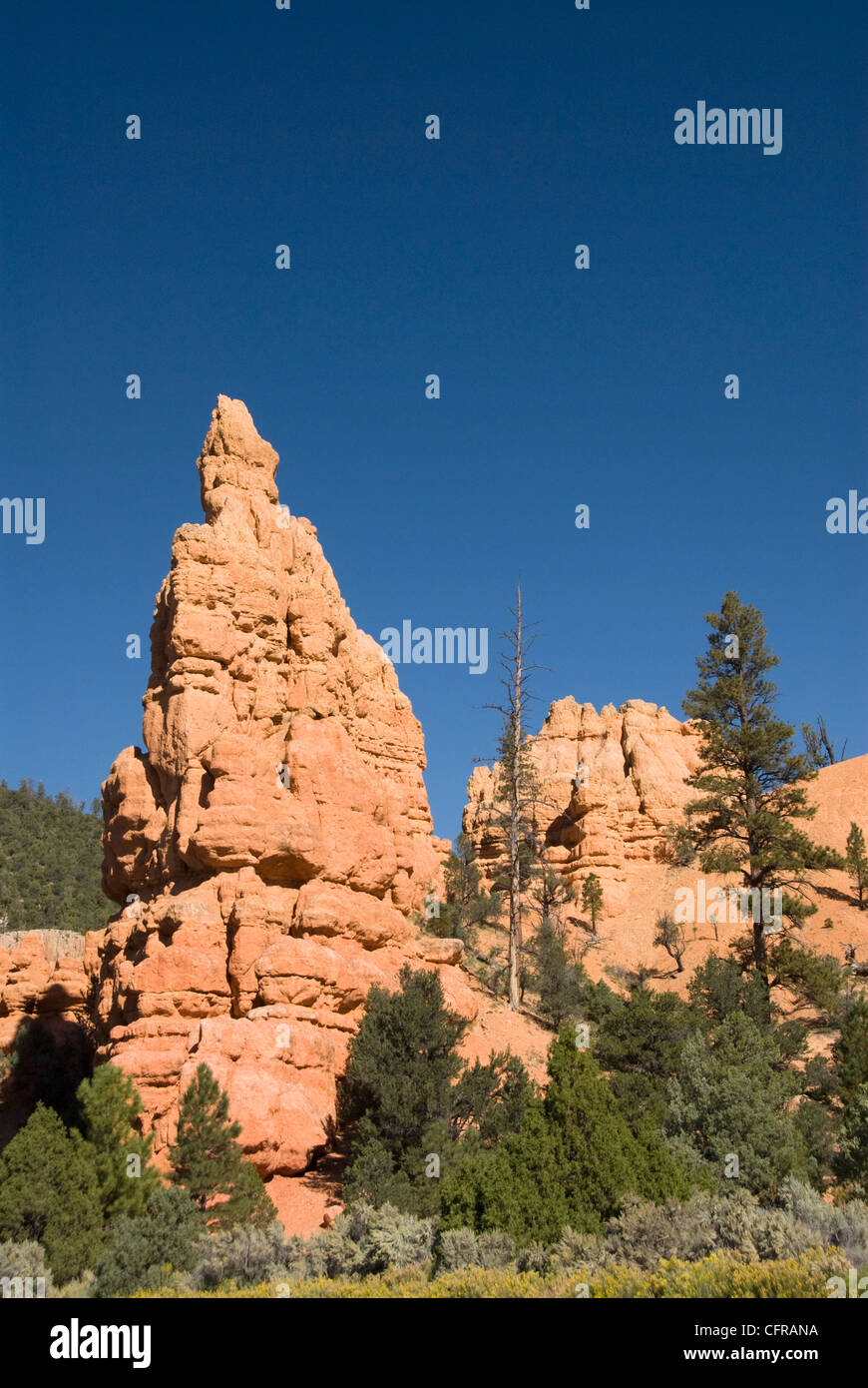 Brillantemente hoodoos colorati, Utah, Stati Uniti d'America, America del Nord Foto Stock