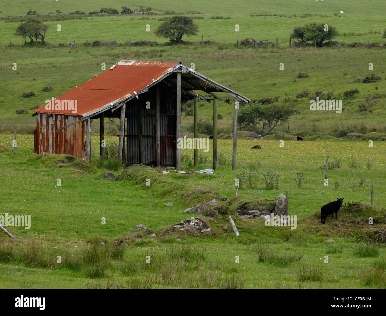 Il vecchio fienile abbandonati, Bodmin Moor, Cornwall, Regno Unito Foto Stock