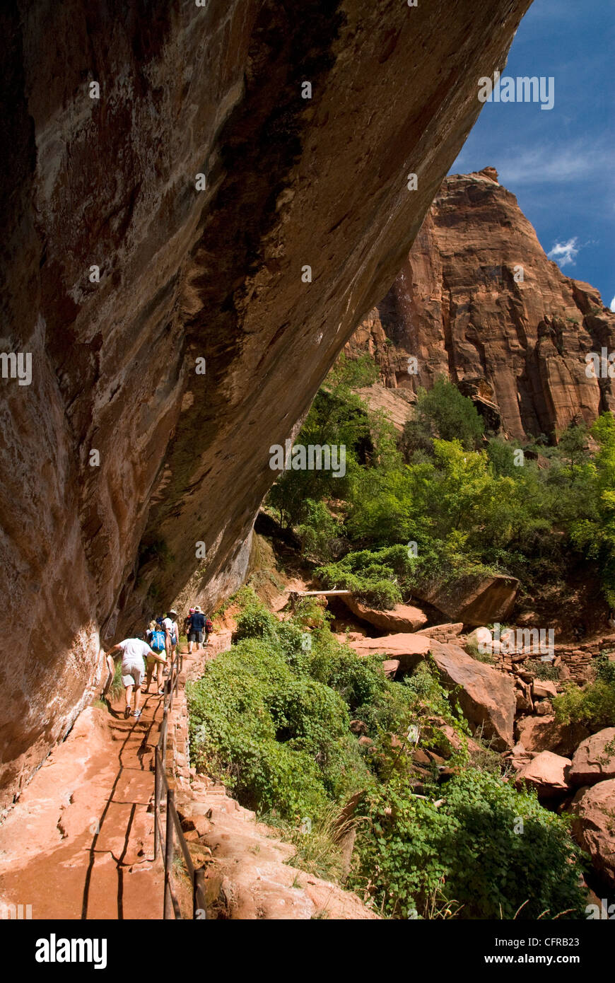 Abbassare Emerald Piscina, parco nazionale Zion, Utah, Stati Uniti d'America, America del Nord Foto Stock