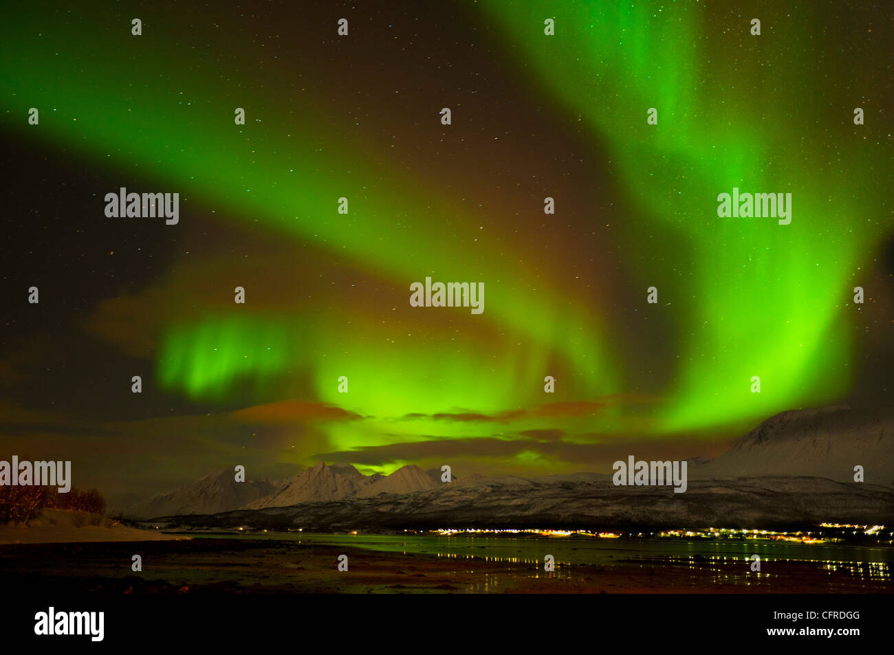 Aurora boreale o luci del nord vede oltre le Alpi Lyngen e Ullsfjord, Troms, Nord della Norvegia, Europa Foto Stock