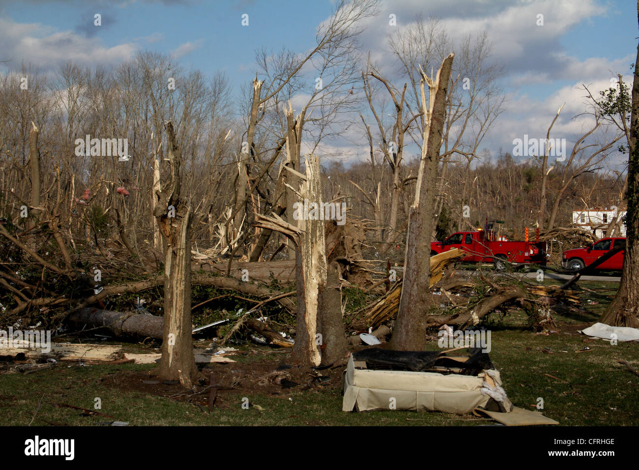 Tornado danneggiare gli alberi Mosca Ohio Foto Stock