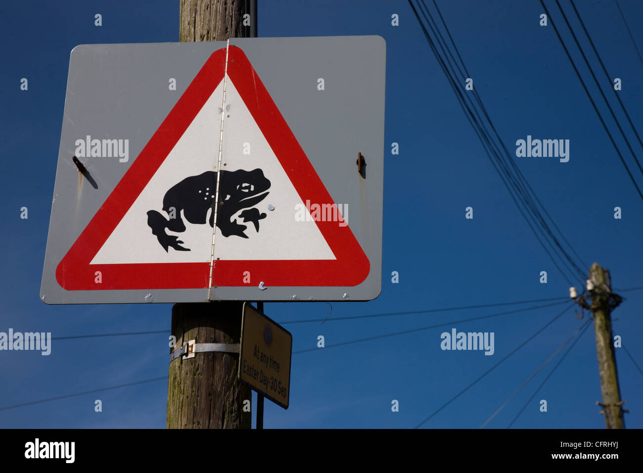 Un triangolo rosso di avvertimento cartello stradale di avvertimento di rospi o rane attraversando la strada Foto Stock