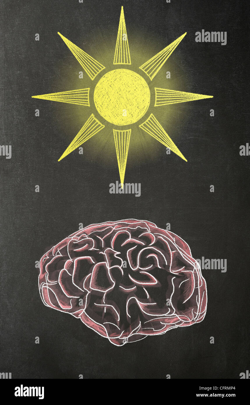 Illustrazione in gesso di un cervello umano con un sole sopra di esso su una lavagna Foto Stock