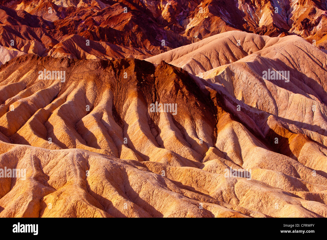 Il collettore vicino Zabriski Point, Death Valley, California USA Foto Stock