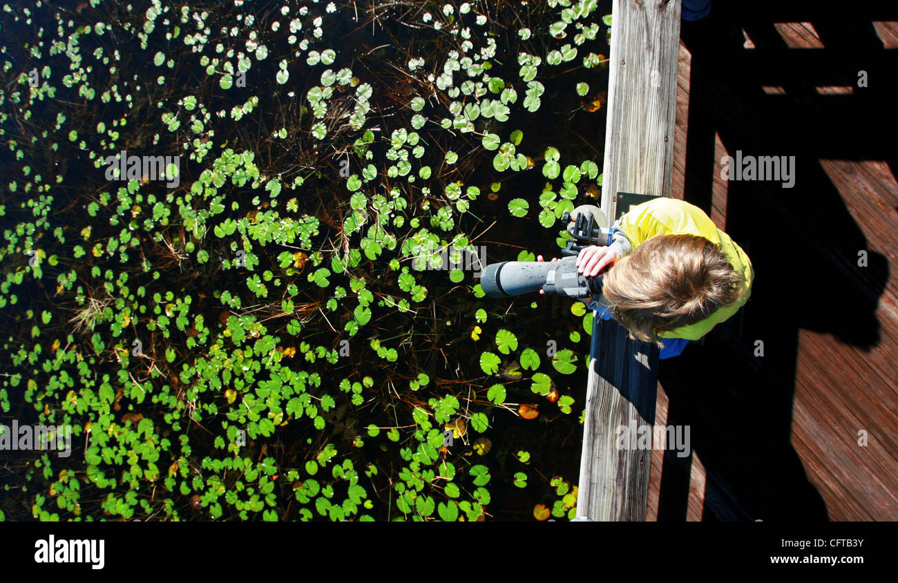 122706 incontrato grassy clo foto personale di Richard Graulich/Palm Beach post 0031704A WEST PALM BEACH - Alex Pearlman, 11, visita dal New Jersey, guarda per la fauna selvatica in lilly pattini da Charles W. Bingham deserto padiglione presso acque erbosa preservare in West Palm Beach mercoledì. Le prese Foto Stock