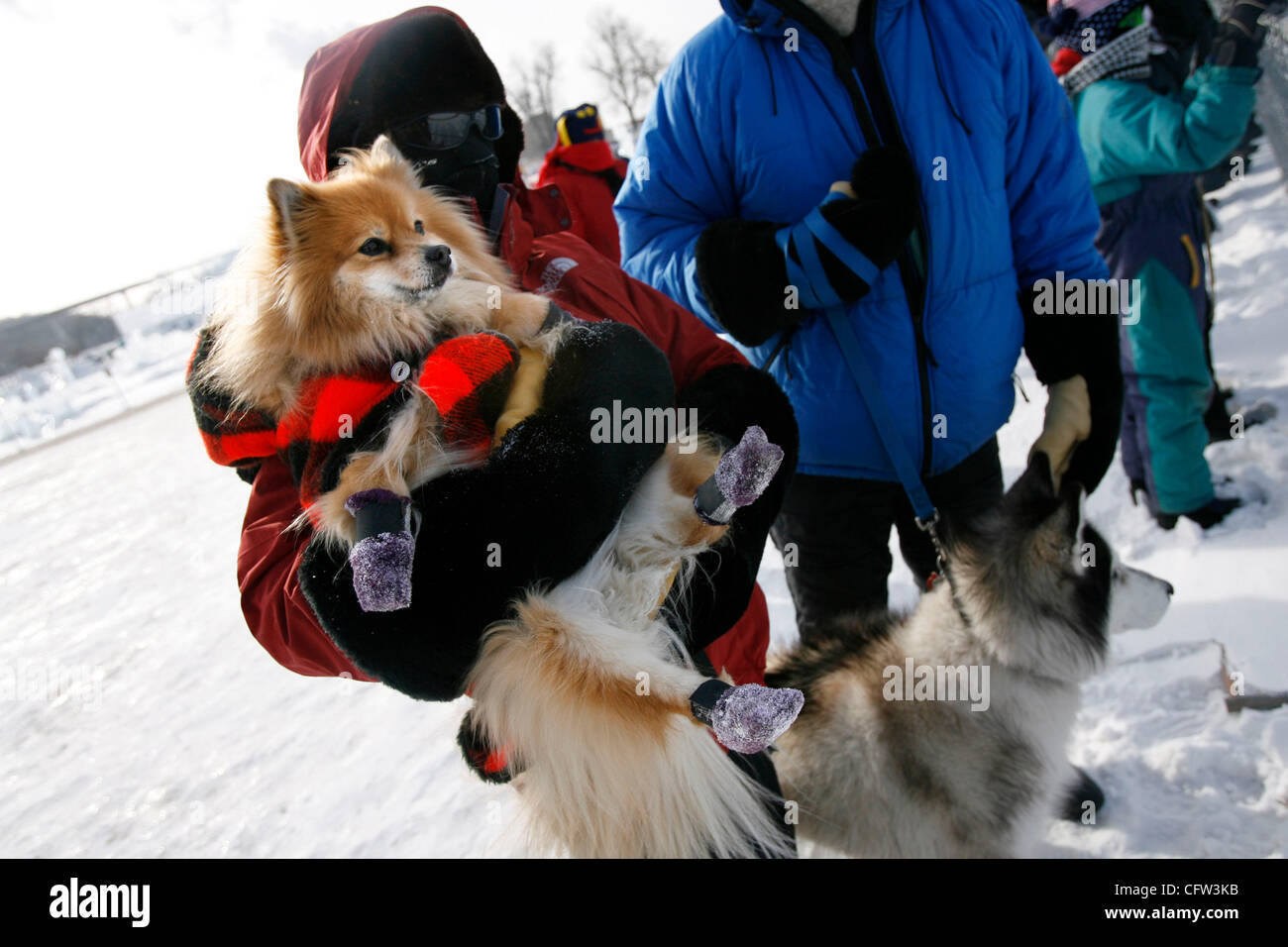 RENEE JONES SCHNEIDER • reneejones@startribune.com St. Paul, MN - Febbraio 3, 2007 - Kari Halvorson, di Lake Elmo, messo al sicuro il suo cane, chiamato il Sig. Magoo, era calda con una camicia e muffole come ha guardato il dog racing con Doug Troupe, anche di Lake Elmo, e Ranger (l'altro cane) sabato al Wint Foto Stock