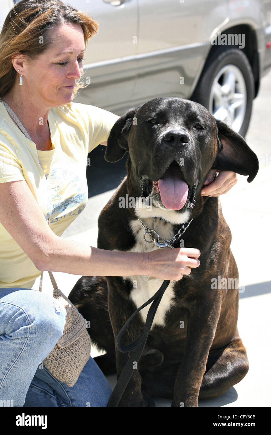 Tracie male di Livermore trattiene il suo cane Charlie che ha adottato dalla Tri-Valley salvataggio animale in Dublino. (Mike Lucia/Tri-Valley Herald) Foto Stock