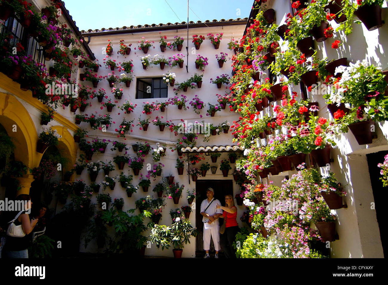 Cordoba. Festival de Patios Cordobeses. San Basilio 14, Patio de las flores en Cordoba. Piante in vaso coprire i muri di recinzione di un patio. Cordoba, Spagna. Foto Stock