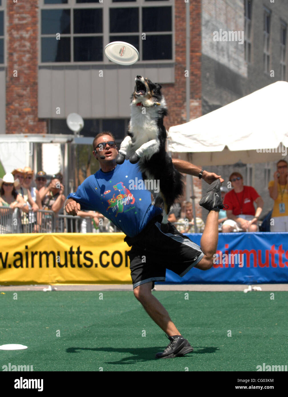 Giu 9, 2007 Nashville, TN, Stati Uniti d'America, Cane Trainer John Casey di Cincinatti, OH e il suo K9 HYPER HANNA esegue in la Chevy Sport Zona nel K-9's in programmi di volo come parte della CMA Music Festival. La CMA Music Festival è uno dei più grandi festival di musica country il 4 giorno evento annuale avviene Foto Stock