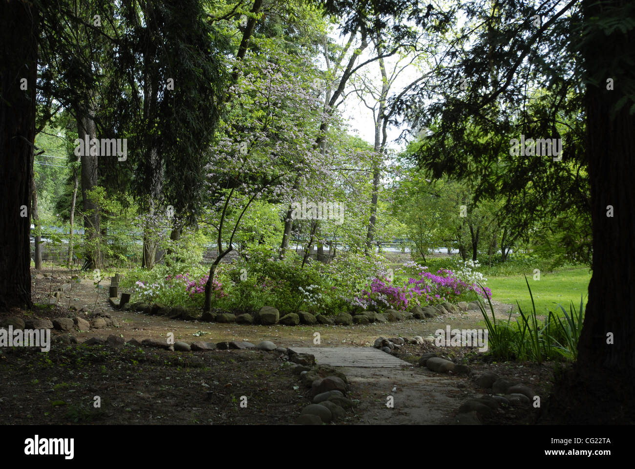 JUMP - I volontari e i membri degli amici di Jensen Giardino Botanico sono al lavoro per ripristinare il giardino, che ha subito un declino a partire dagli anni ottanta a causa della mancanza di finanziamenti da parte della contea, Aprile 19, 2007. Sacramento Bee/ Firenze bassa Foto Stock