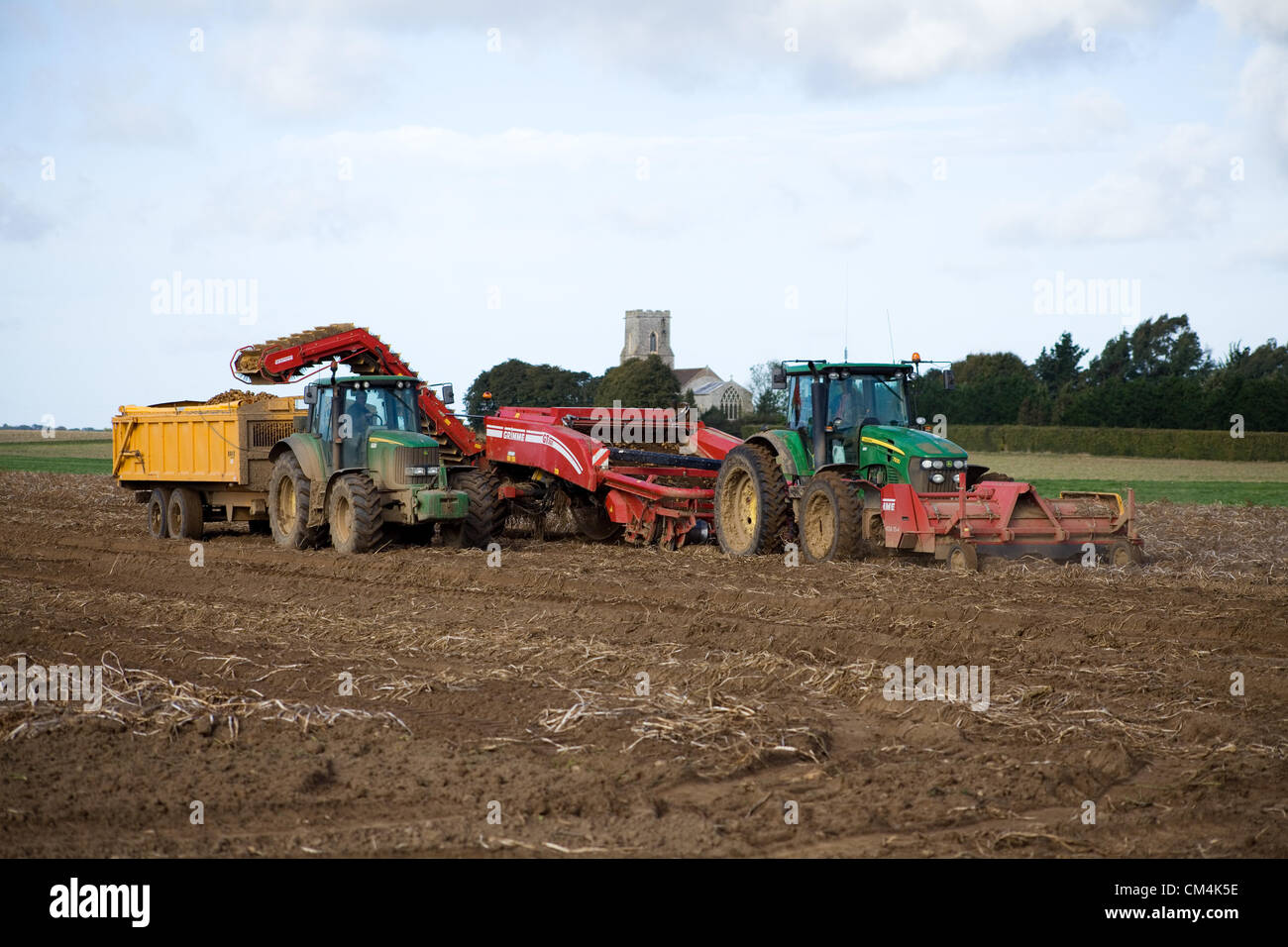 Potato Harvest a Norfolk, Regno Unito. Foto Stock
