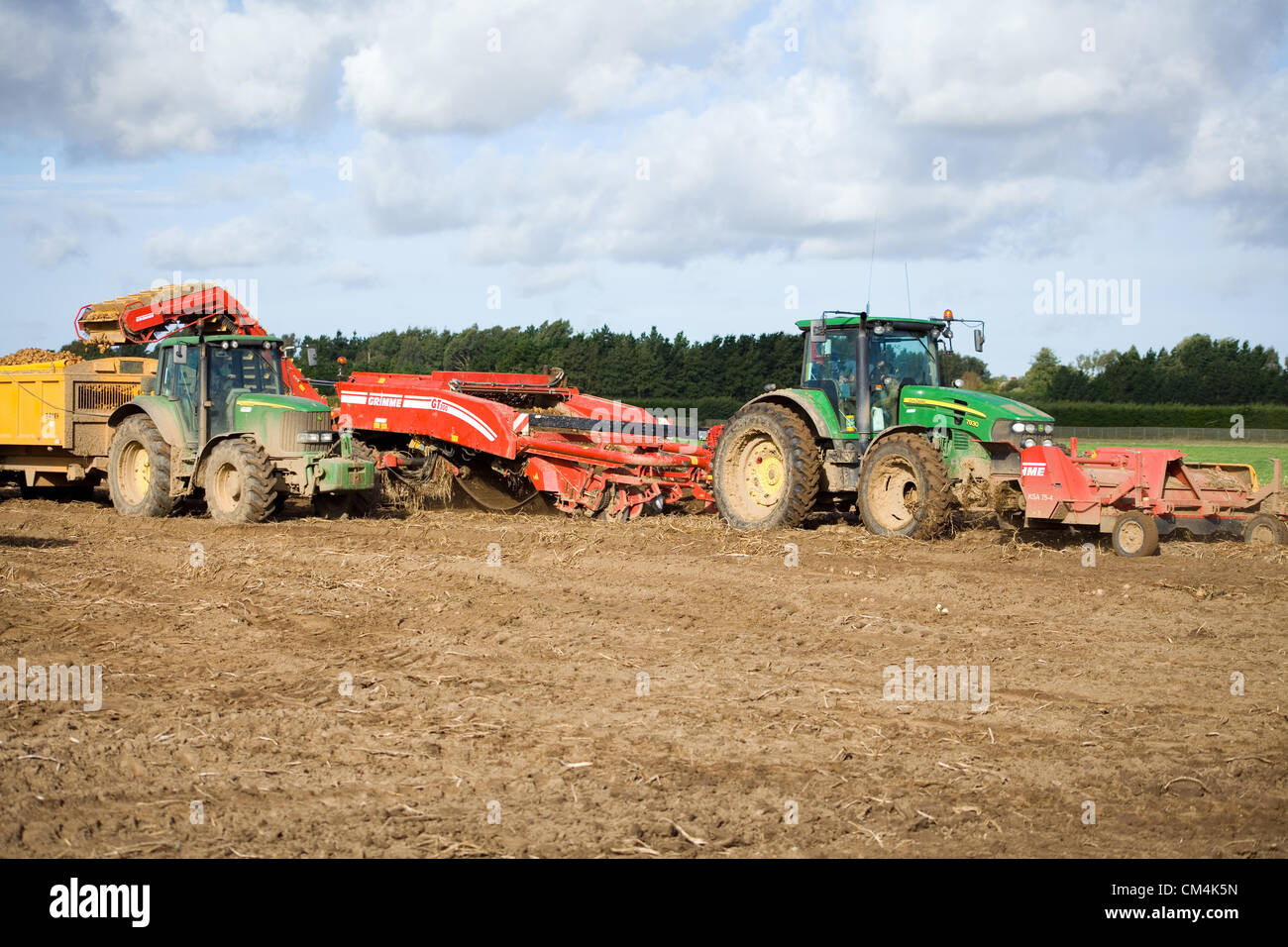 Potato Harvest a Norfolk, Regno Unito. Foto Stock