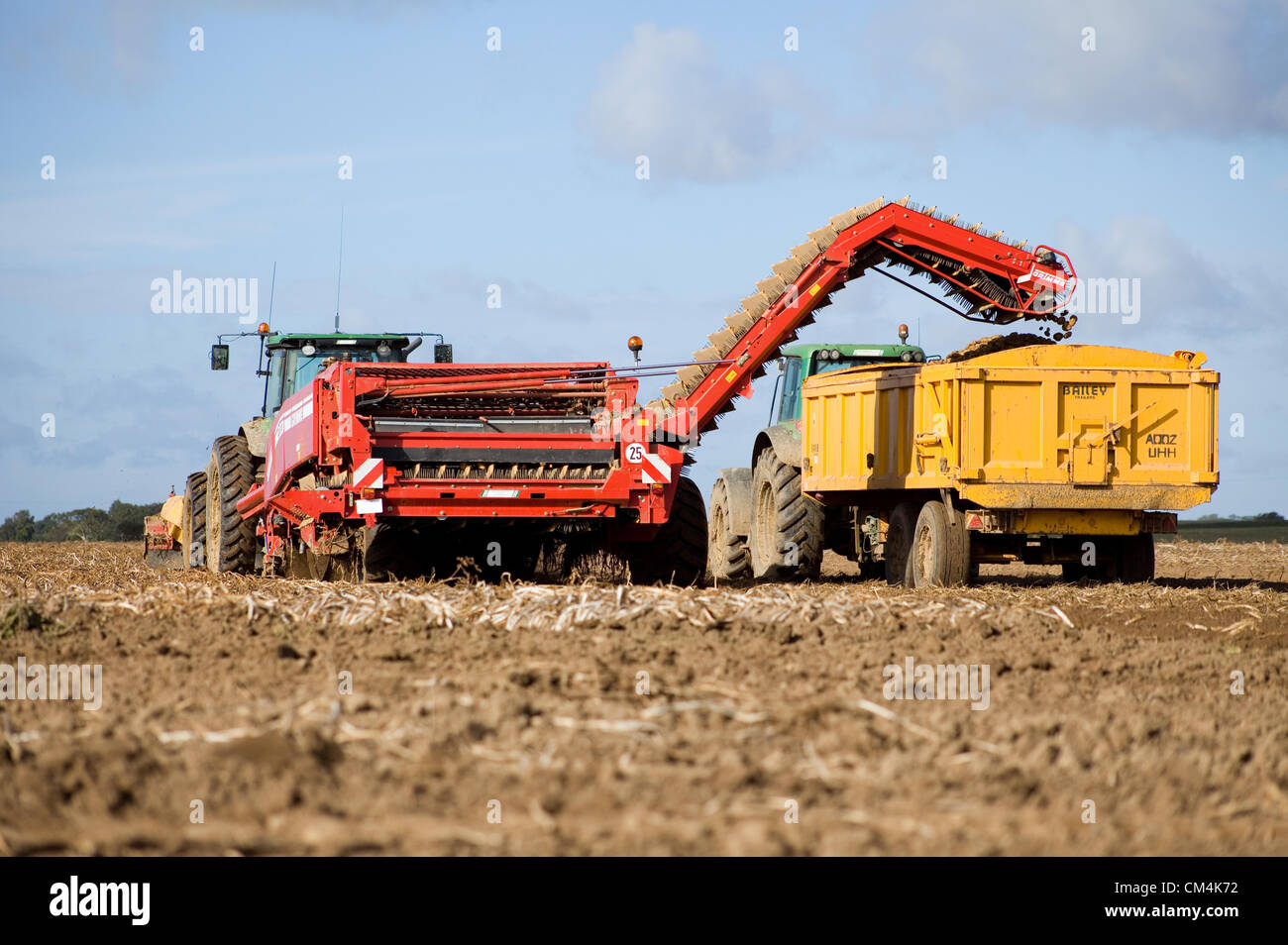 Potato Harvest a Norfolk, Regno Unito. Foto Stock
