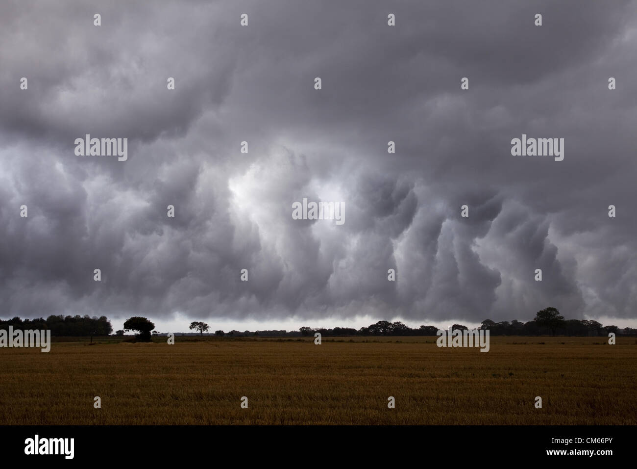 East Ruston,North Norfolk,UK. Dal 14 ottobre 2012. Tempesta davanti si muove su East Ruston in Norfolk. Poco dopo questa fotografia è stata scattata heavy rain è sceso. Durante le ultime 12 ore di pioggia nella zona era stato registrato come 18.9mm. Foto Stock