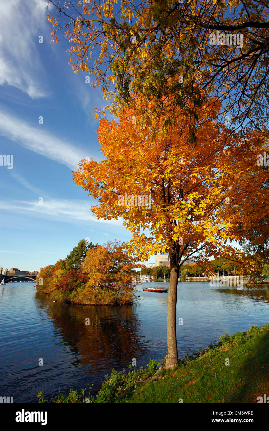 Boston, Stati Uniti d'America. Il 18 ottobre 2012. Modifica dei colori delle foglie in autunno come arriva l'autunno in New England con foglie di giallo su alberi lungo la riva del fiume Charles a Boston, Massachusetts, USA. Foto Stock