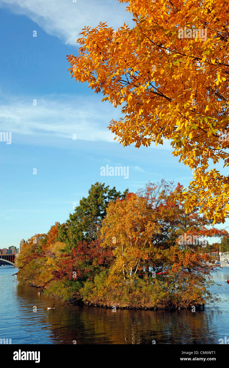Boston, Stati Uniti d'America. Il 18 ottobre 2012. Modifica dei colori delle foglie in autunno come arriva l'autunno in New England con foglie di giallo su alberi lungo la riva del fiume Charles a Boston, Massachusetts, USA. Foto Stock
