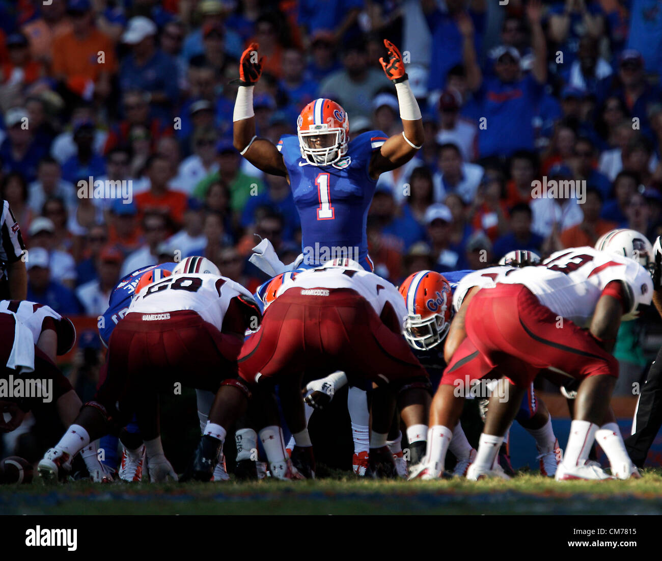 20 ott. 2012 - Gainesville, Florida, Stati Uniti - Florida Gators linebacker JON BOSTIC (1) pompe fino la folla durante il secondo trimestre del South Carolina Gamecocks al Florida Gators gioco di calcio a Ben Hill Griffin Stadium. Il Gator sconfitto il Gamecocks 44-11. (Credito Immagine: © sarà Vragovic/Tampa Bay volte/ZUMAPRESS.com) Foto Stock