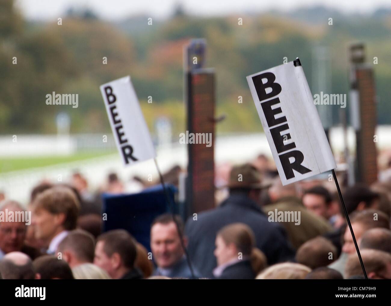 Ascot, Regno Unito. 20 ottobre, 2012. British Champions giorno a Ascot Foto Stock