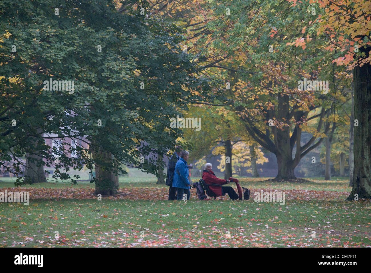 Il 22 ottobre 2012. Londra REGNO UNITO. Un display di foglie di autunno in una nebbiosa mattina a Kew Gardens LONDRA Foto Stock