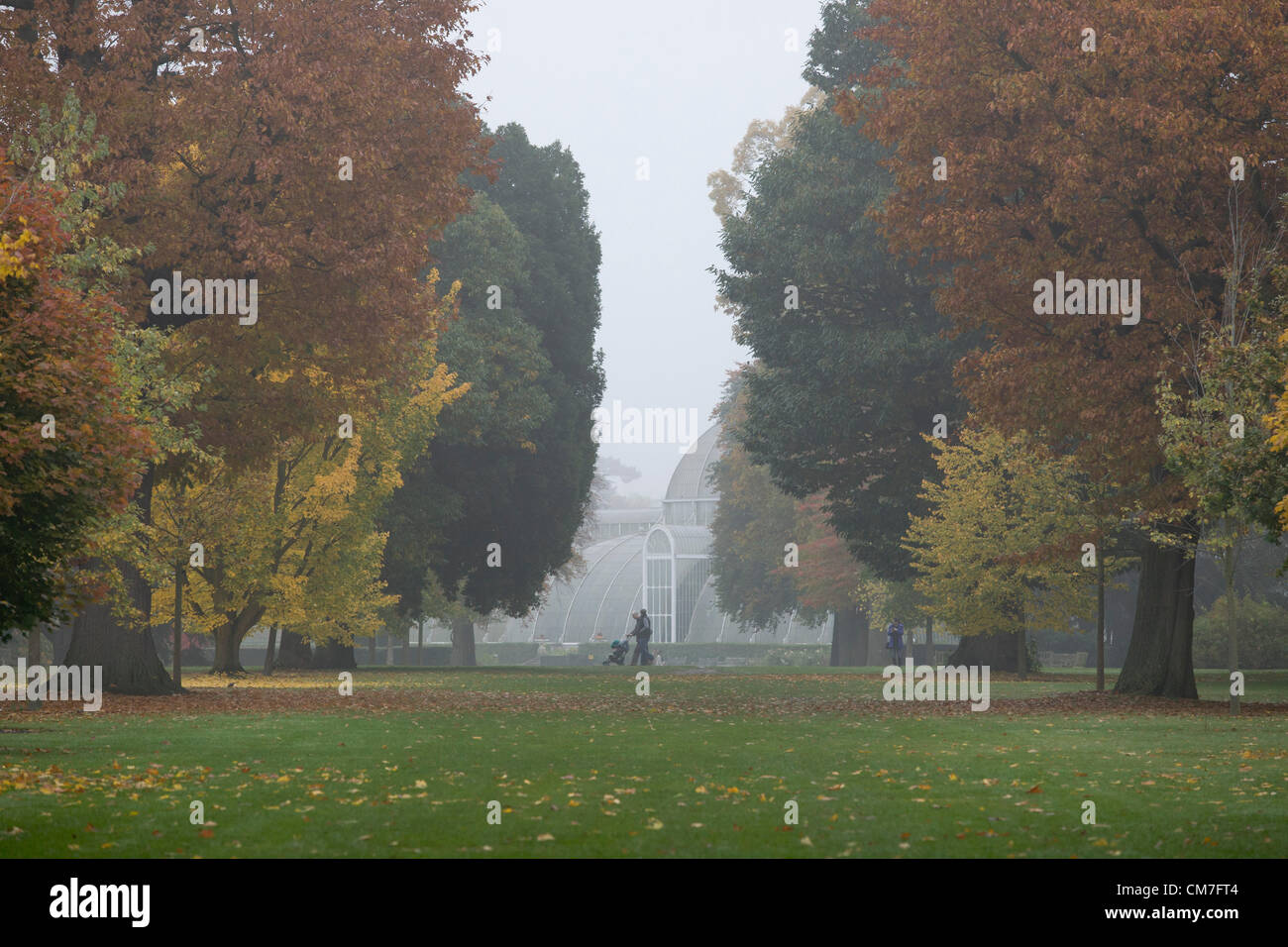 Il 22 ottobre 2012. Londra REGNO UNITO. Un display di foglie di autunno in una nebbiosa mattina a Kew Gardens LONDRA Foto Stock