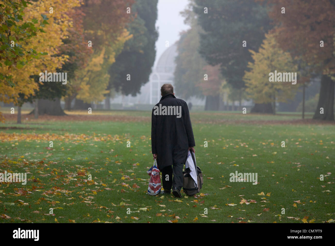 Il 22 ottobre 2012. Londra REGNO UNITO. Un display di foglie di autunno in una nebbiosa mattina a Kew Gardens LONDRA Foto Stock