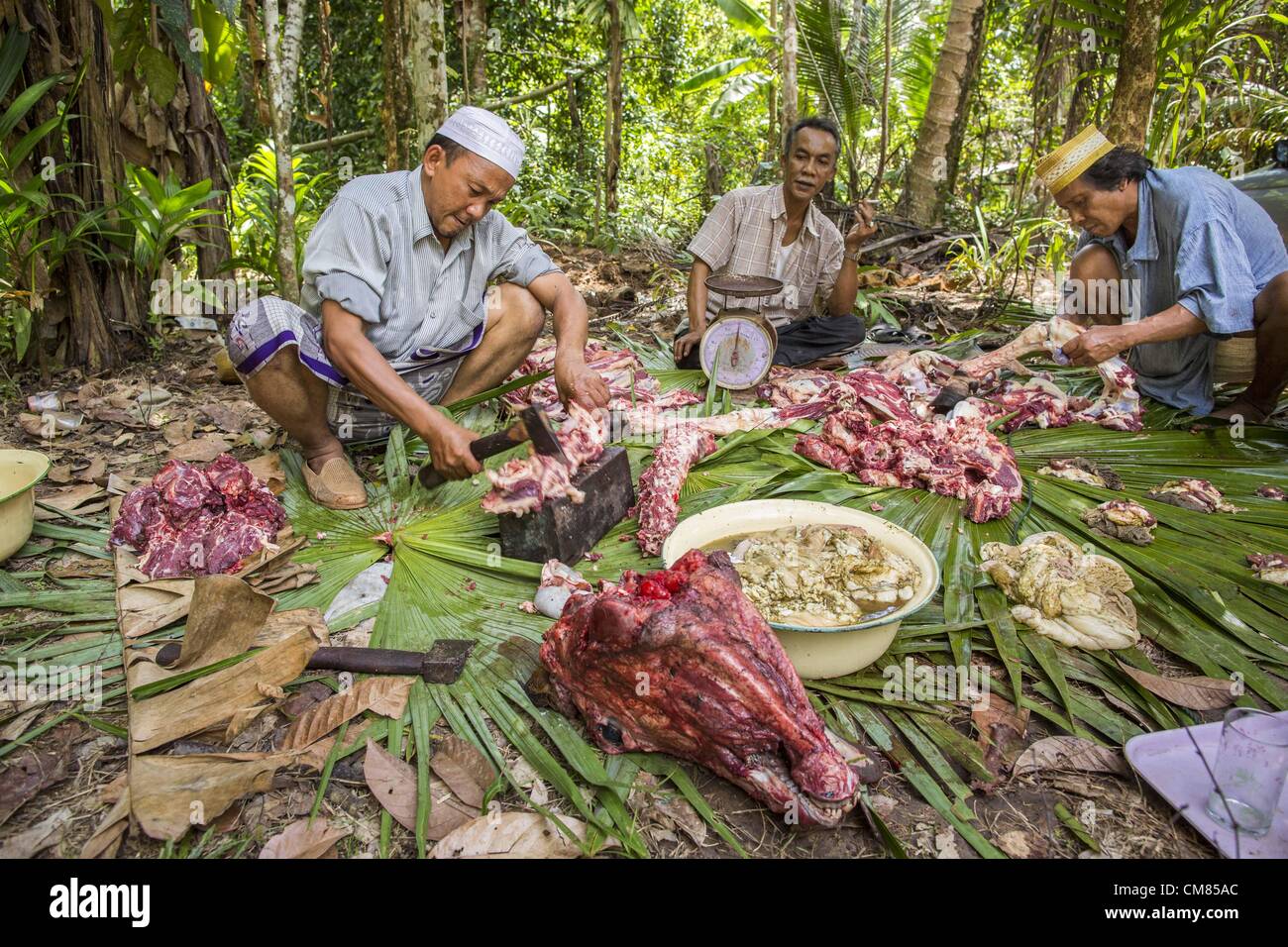 Ottobre 26, 2012 - Pulasaiz, Narathiwat, Thailandia - Thai musulmani butcher e dividere un toro dopo che esso è stato sacrificato in nome di Dio per la festa di Eid al-Adha nell'villiage Pulasaiz, nella provincia di Narathiwat, Thailandia. Il sacrificato la mucca è macellato e divisa in sette parti. La carne è condivisa con le famiglie di minor mezzi, le vedove e gli orfani. Si tratta di un giorno dell anno che alcune persone nella comunità mangiano le carni bovine (nella comunità musulmane in Thailandia, vacche sono di solito sacrificati. In altri paesi musulmani è spesso pecore.) © ZUMA Press, Inc. / Alamy Foto Stock