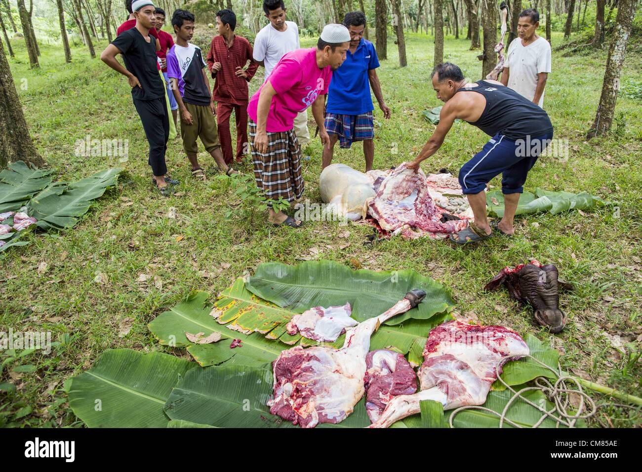 Ottobre 26, 2012 - Pulasaiz, Narathiwat, Thailandia - Thai musulmani butcher e dividere un toro dopo che esso è stato sacrificato in nome di Dio per la festa di Eid al-Adha nell'villiage Pulasaiz, nella provincia di Narathiwat, Thailandia. Il sacrificato la mucca è macellato e divisa in sette parti. La carne è condivisa con le famiglie di minor mezzi, le vedove e gli orfani. Si tratta di un giorno dell anno che alcune persone nella comunità mangiano le carni bovine (nella comunità musulmane in Thailandia, vacche sono di solito sacrificati. In altri paesi musulmani è spesso pecore.) © ZUMA Press, Inc. / Alamy Foto Stock