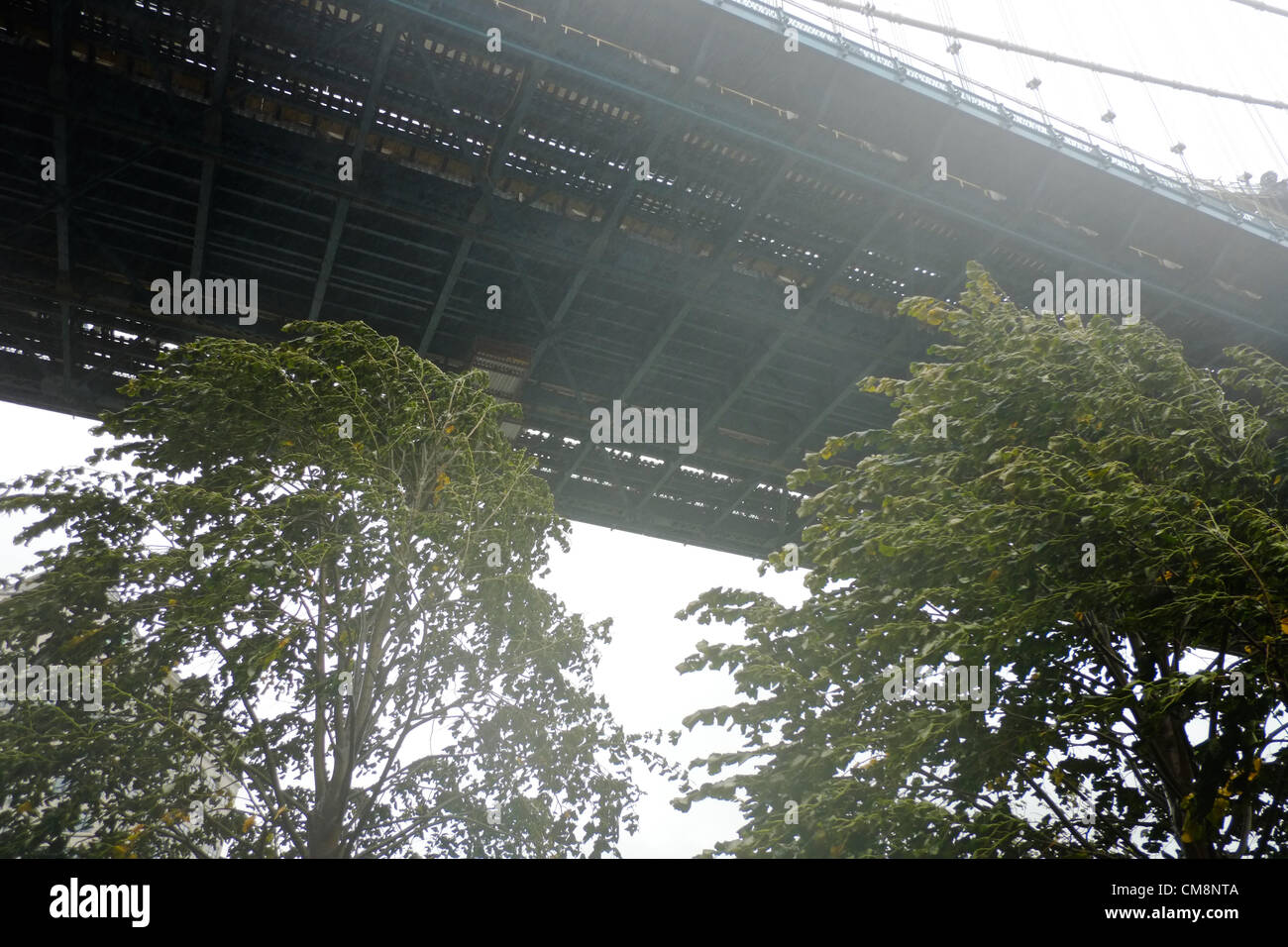 Ottobre 29, 2012, Brooklyn, NY, Stati Uniti. Uragano Sandy pioggia e vento lacrime attraverso gli alberi al di sotto del ponte di Manhattan a Brooklyn, New York. Foto Stock
