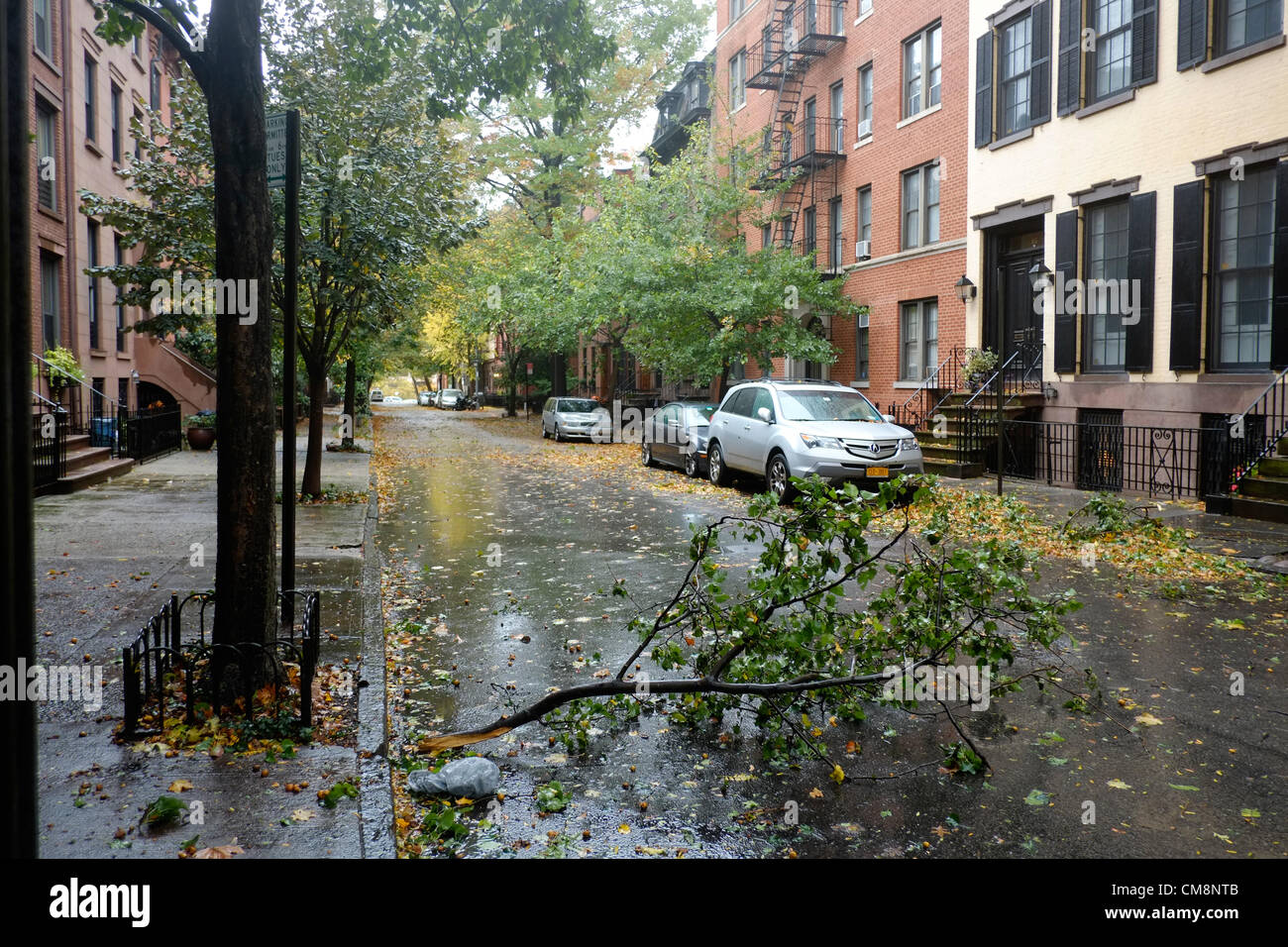 Ottobre 29, 2012, Brooklyn, NY, Stati Uniti. Albero abbattuto ramo su Street in Brooklyn Heights durante l uragano Sandy Foto Stock